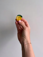 Lade das Bild in den Galerie-Viewer, Hairclaw "Citron"
